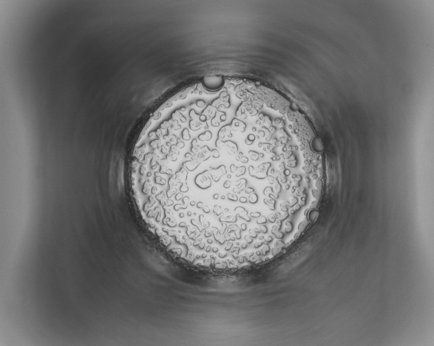 X0000111880301200908061319