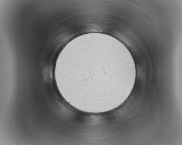 X0000111880302200908061319