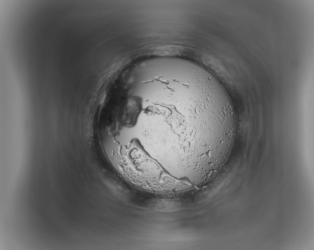 X0000111880303200908061319