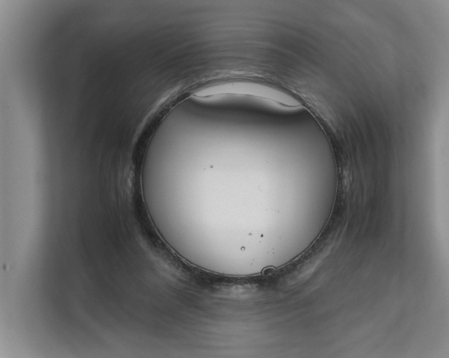 X0000111880304200908061319