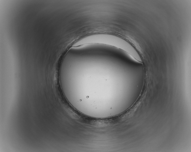 X0000111880305200908061319