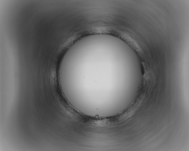 X0000111880306200908061319