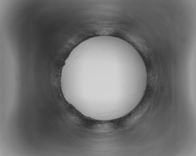 X0000111880307200908061319