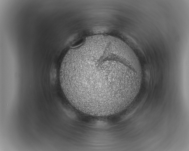 X0000111880308200908061319