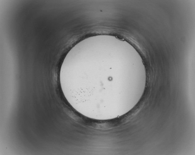 X0000111880309200908061319