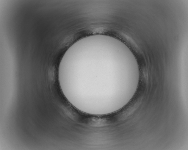 X0000111880311200908061319