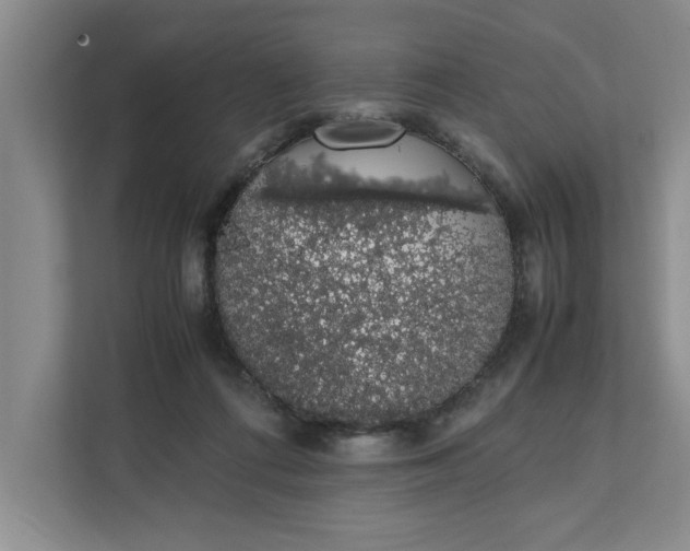 X0000111880312200908061319