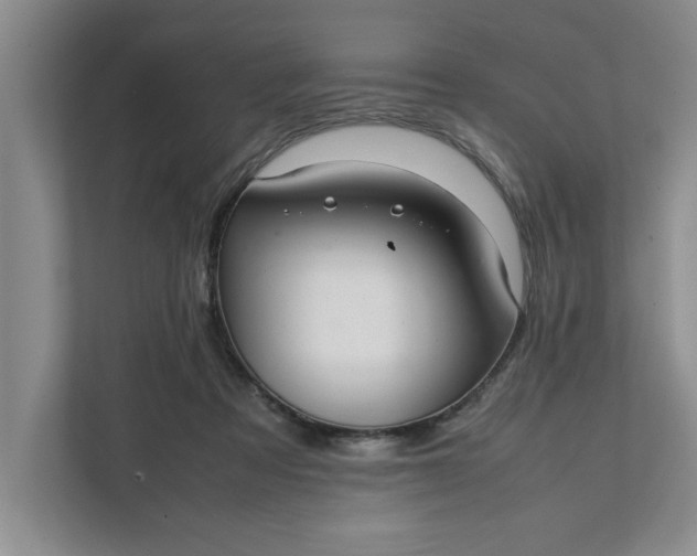 X0000111880313200908061319