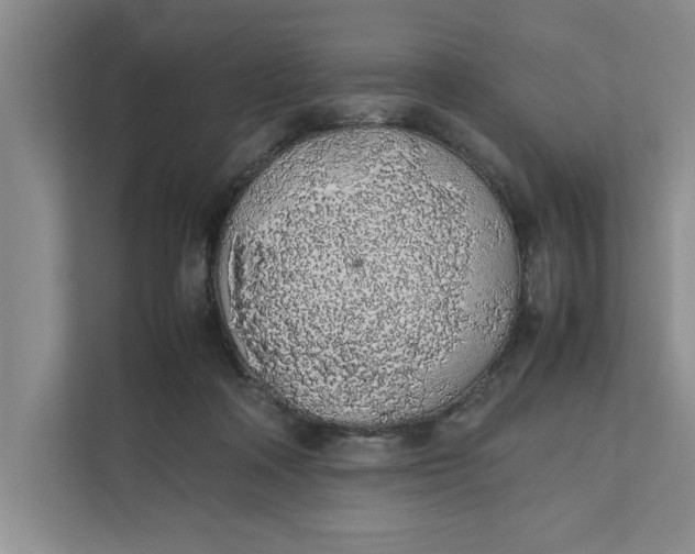 X0000111880314200908061319