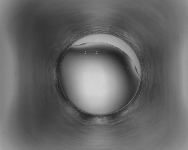 X0000111880317200908061319