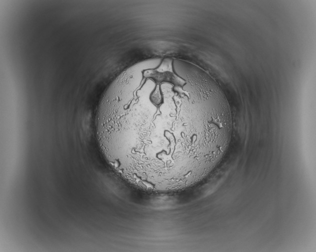 X0000111880319200908061319