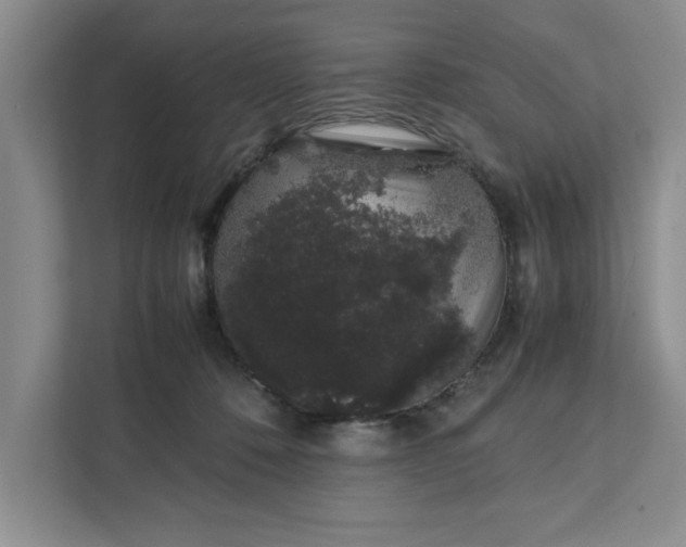 X0000111880320200908061319