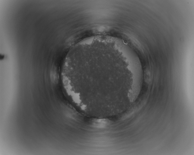 X0000111880324200908061319