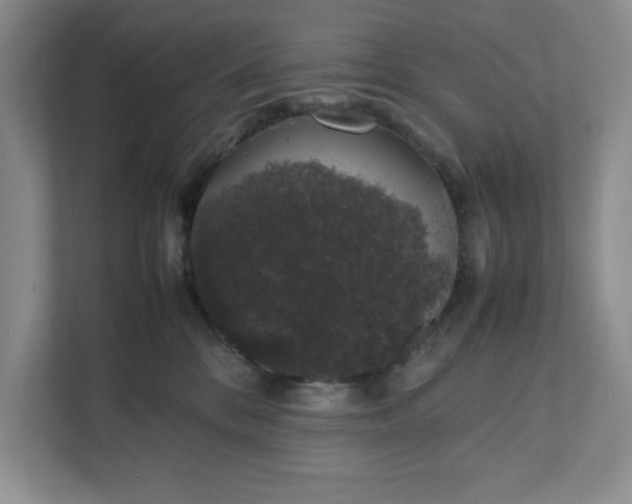 X0000111880328200908061319