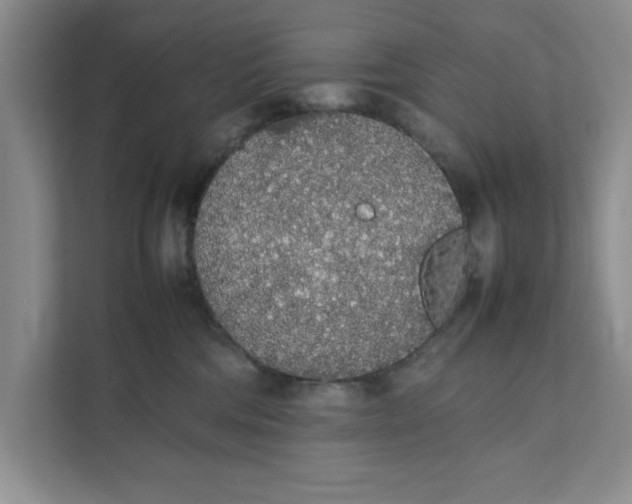 X0000111880330200908061319