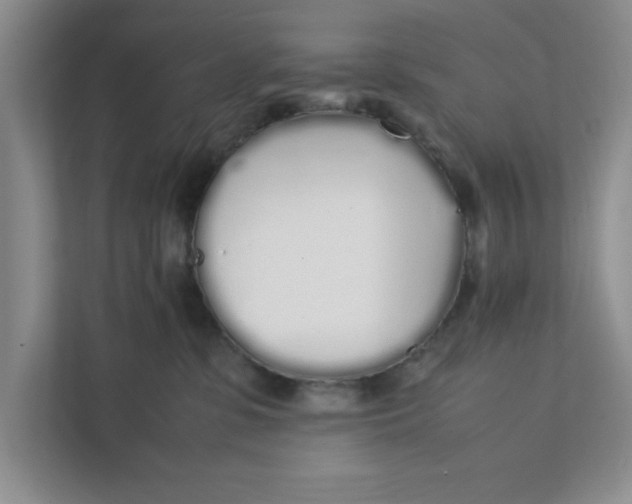 X0000111880331200908061319