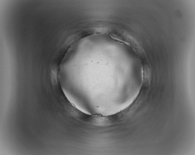 X0000111880333200908061319