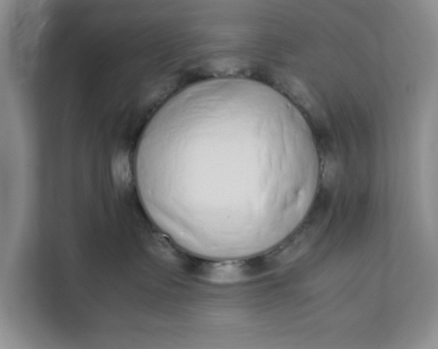 X0000111880335200908061319