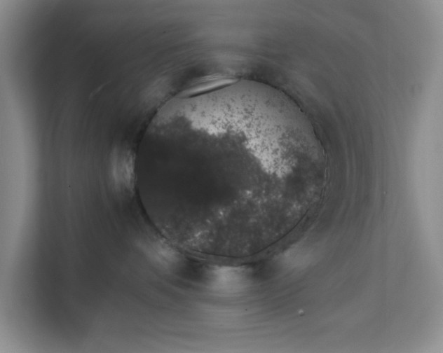 X0000111880336200908061319