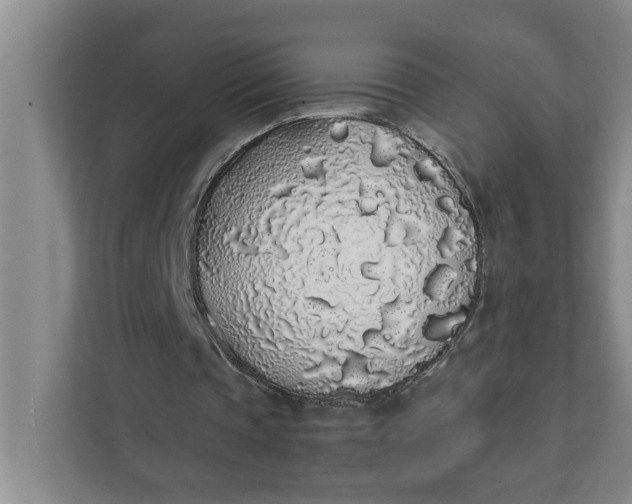 X0000111880337200908061318