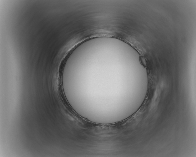 X0000111880338200908061318