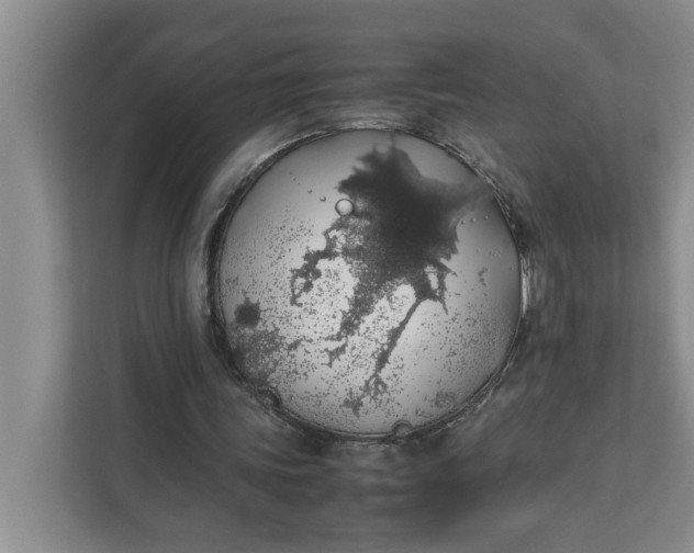 X0000111880339200908061318