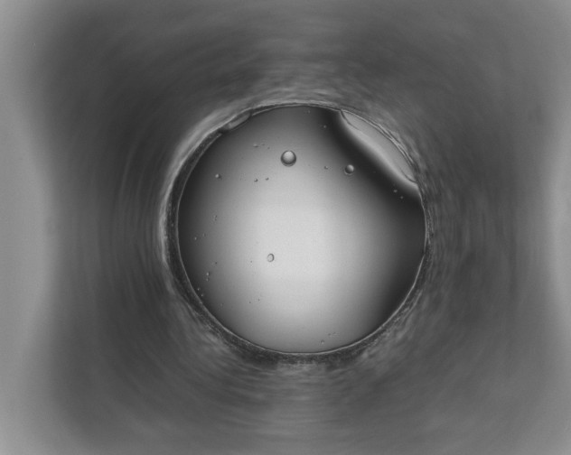 X0000111880340200908061318