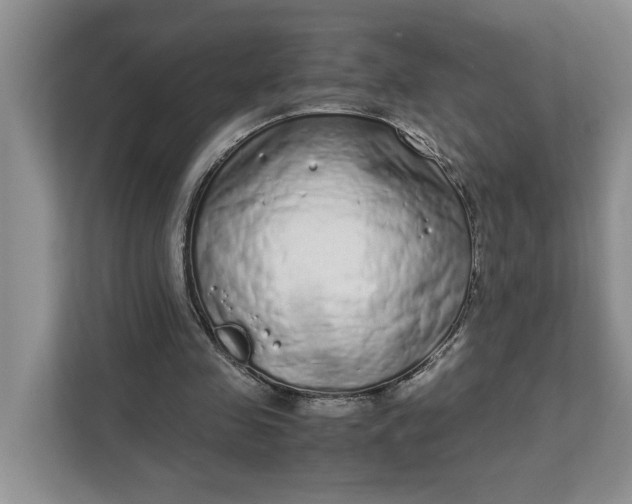 X0000111880341200908061318