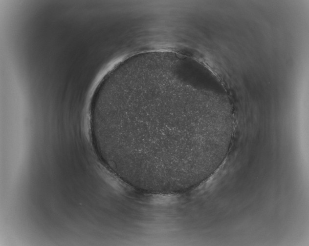 X0000111880342200908061318