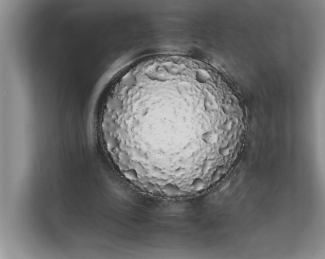 X0000111880343200908061318