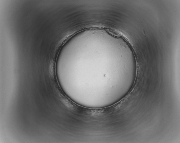 X0000111880345200908061318