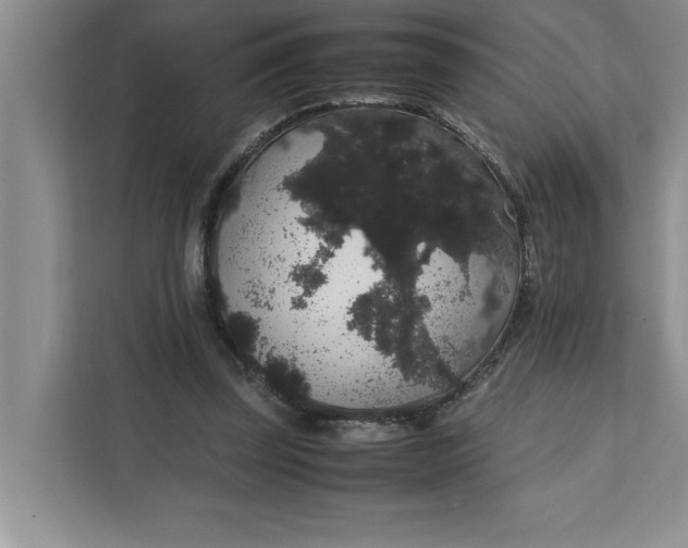 X0000111880347200908061318