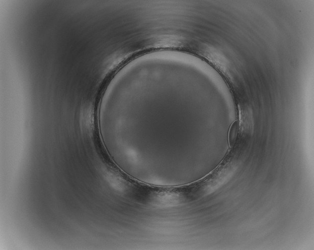 X0000111880348200908061318