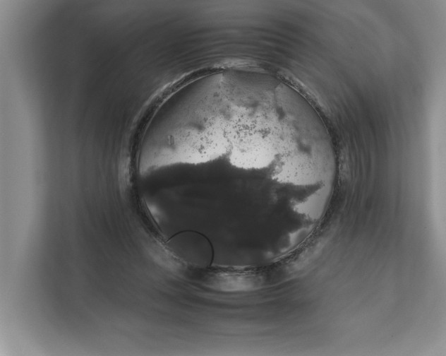 X0000111880351200908061318