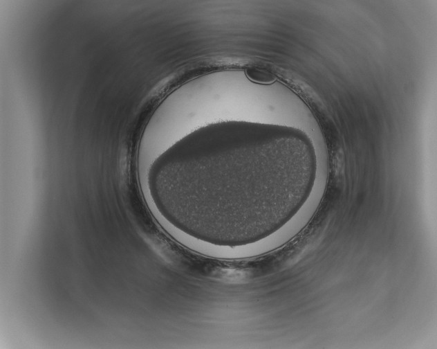 X0000111880352200908061318