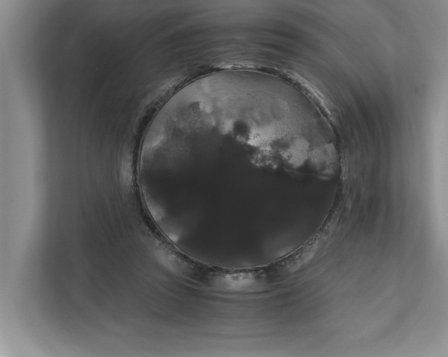 X0000111880353200908061318