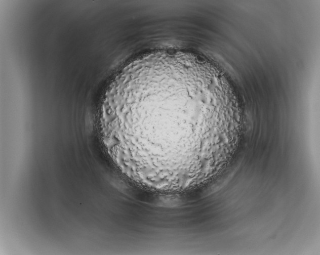 X0000111880355200908061318