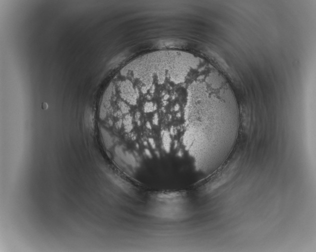 X0000111880357200908061318