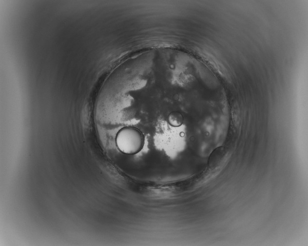 X0000111880359200908061318