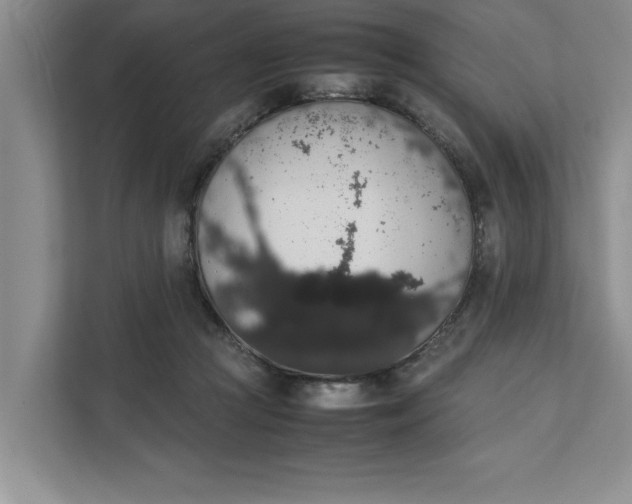 X0000111880361200908061318