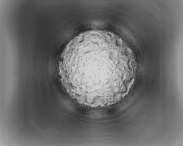 X0000111880367200908061318