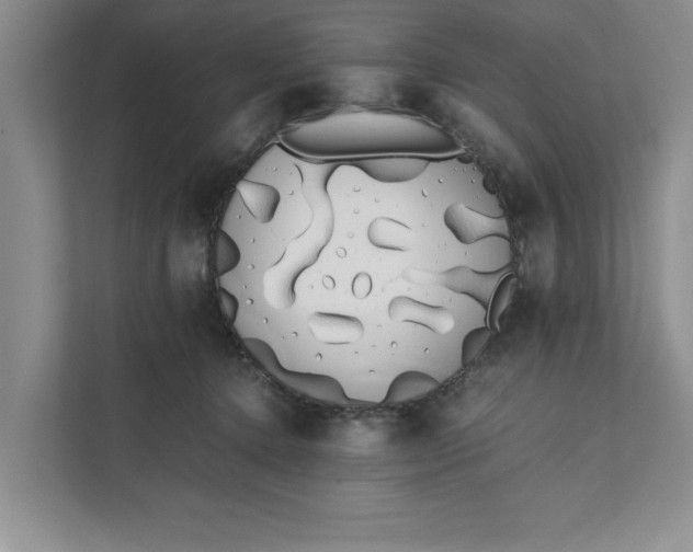 X0000111880368200908061318