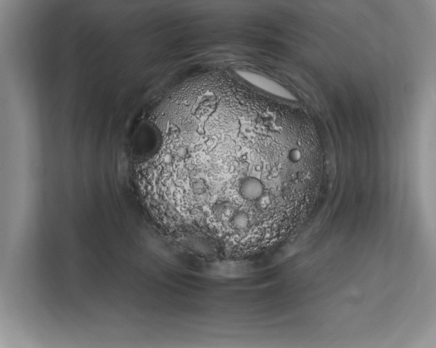 X0000111880371200908061319