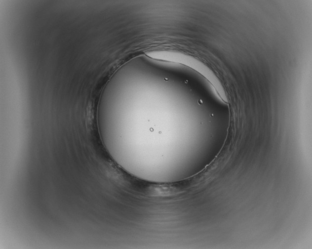 X0000111880372200908061319