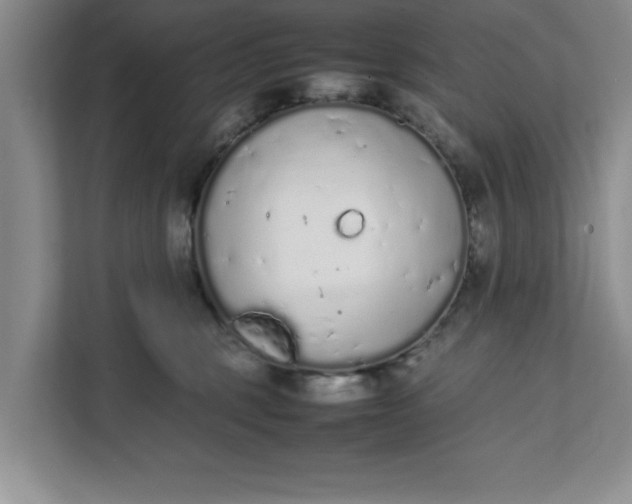 X0000111880375200908061319