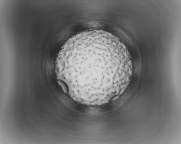 X0000111880376200908061319