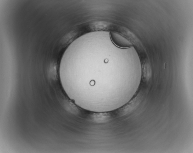 X0000111880378200908061319