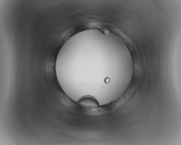 X0000111880379200908061319