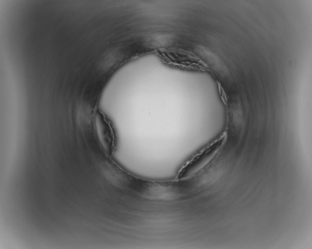 X0000111880380200908061319