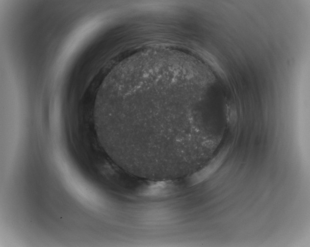 X0000111880382200908061319